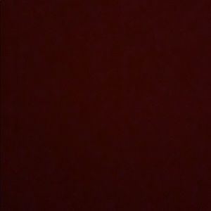 Meet your Posher, Carina